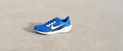 Nike Air Zoom Pegasus 41